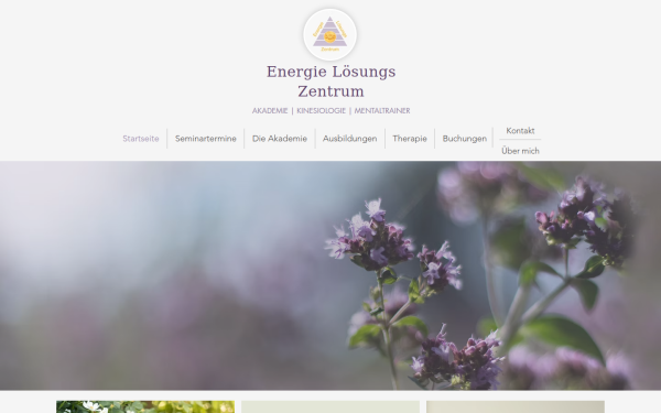 www.energieloesungszentrum.com