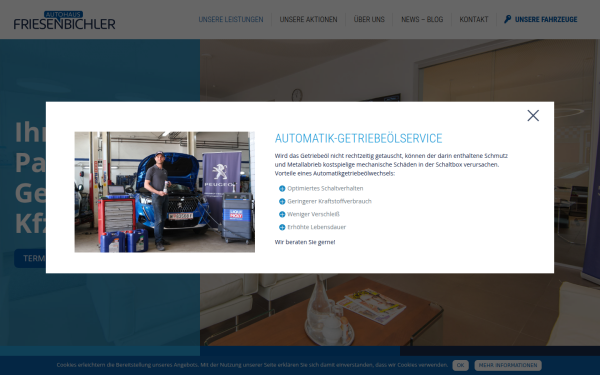 www.autohaus-friesenbichler.at