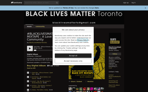 blacklivesmattertoronto.bandcamp.com