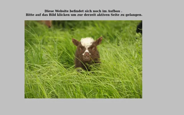 alpackas-voerde.de