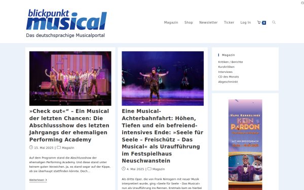blickpunktmusical.online