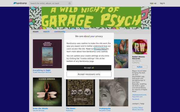 rebelwavesrecords.bandcamp.com