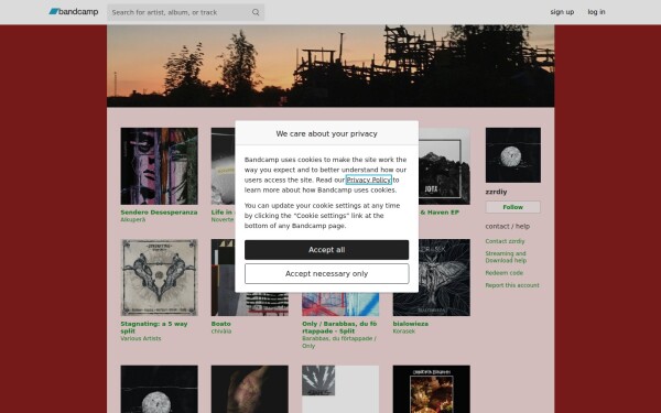 zzdiy.bandcamp.com
