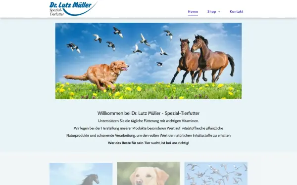 amicum.de