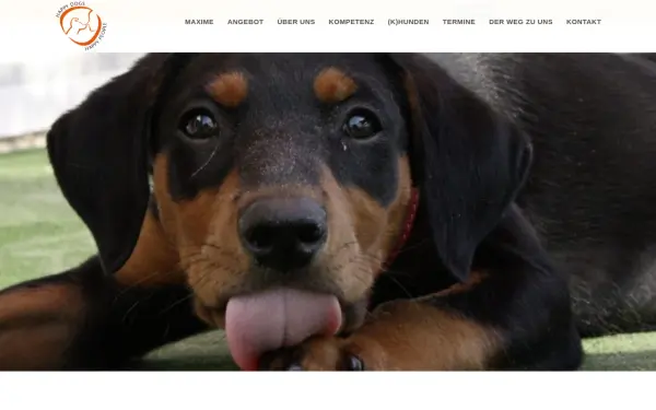 www.happydogs-happypeople.de