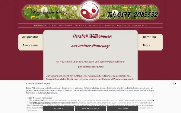 akupunkturpraxis-giesing.de