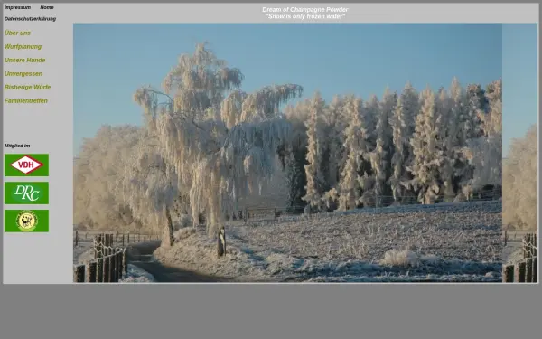 dream-of-champagne-powder.de