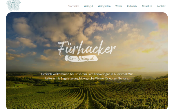 weingut-fuerhacker.at