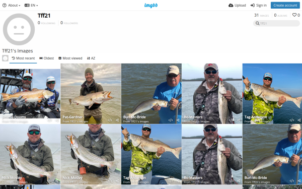 tff21.imgbb.com