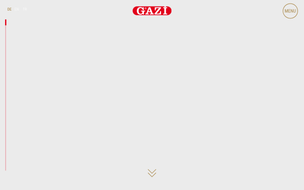 gazi.de