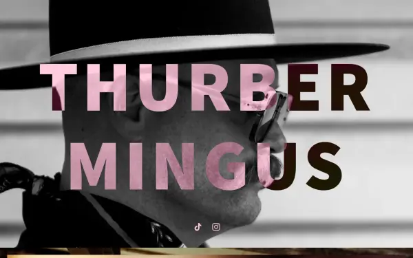 thethurbermingus.com