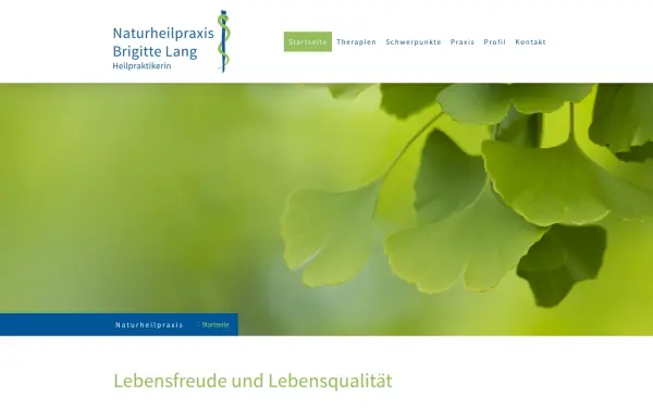 www.naturheilpraxis-brigittelang.de