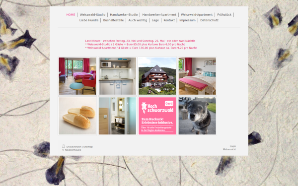 www.neubierhaeusle.com