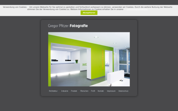 www.gregor-pfitzer.de