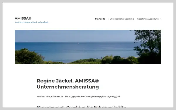 amissa-unternehmensberatung.de