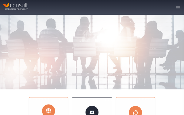 www.vconsult.at