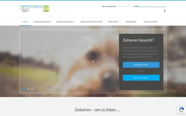 helpinghands4animals.de