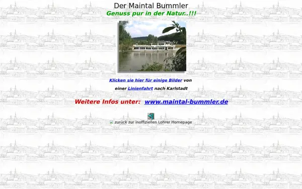main-spessart-schifffahrt.de