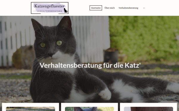 www.katzengefluester.de