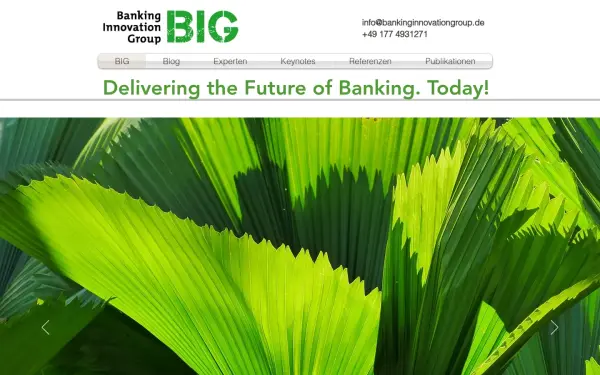 www.bankinginnovationgroup.de