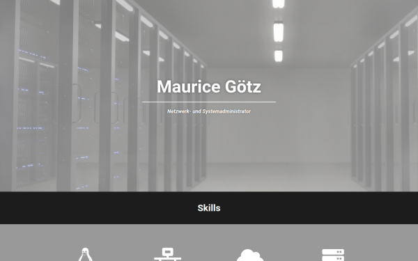 www.goetz-it.de