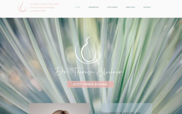www.gyn-bleierer.at