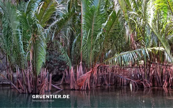 www.gruentier.de