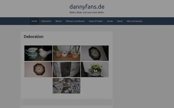 dannyfans.de