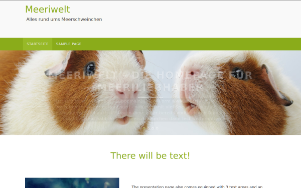 meeriewelt.de