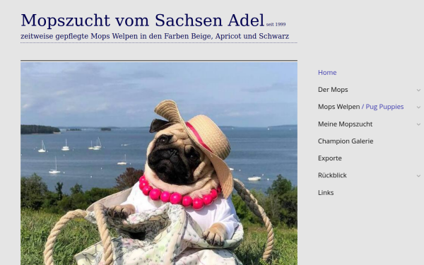 www.mopsmops.de