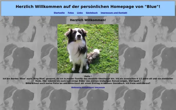 gruenwinkler.de