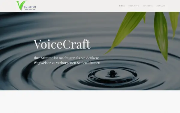 voicecraft.org