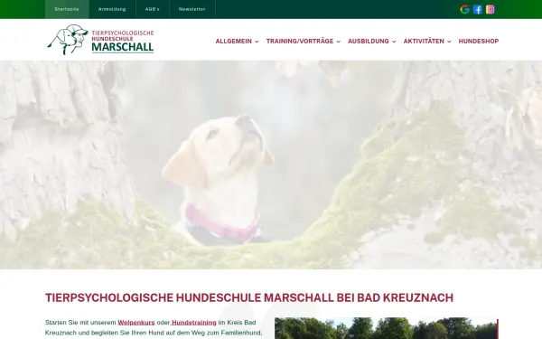 www.hundeschule-marschall.de
