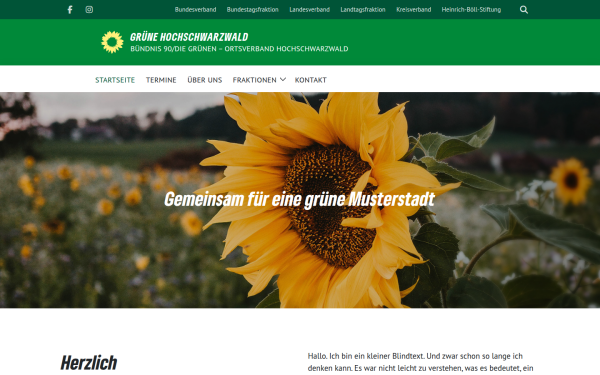 gruene-hochschwarzwald.de