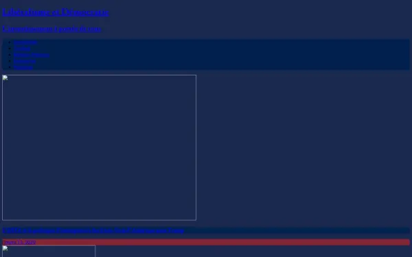 liberalisme-democraties-debat-public.com