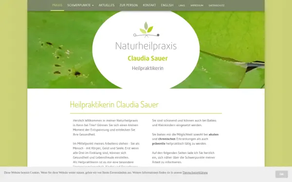 www.sauer-naturheilpraxis.de