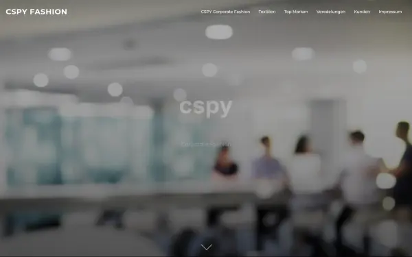 www.cspy.de