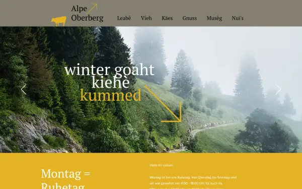 www.alpe-oberberg.de
