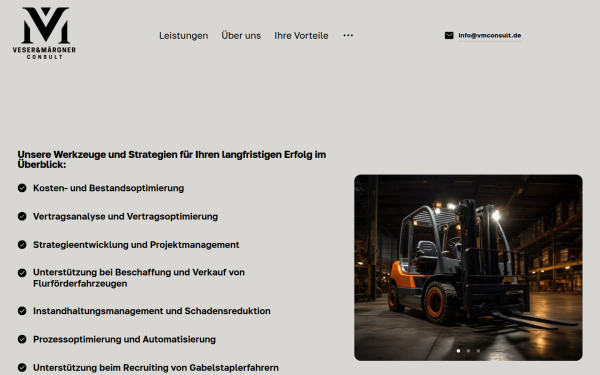 vmconsult.de