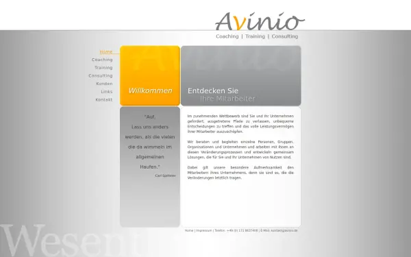 avinio.de