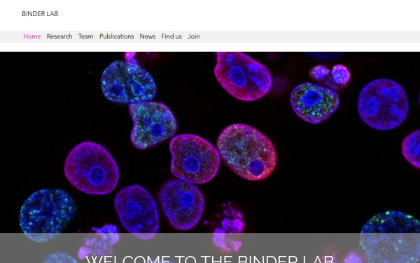 www.binderlaboratory.com