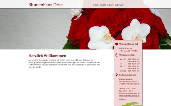 blumenhaus-dries.de