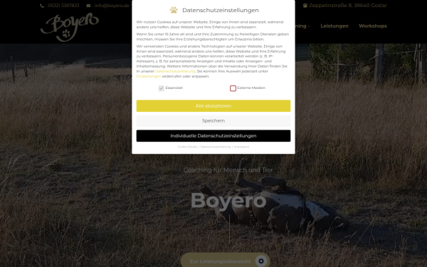 boyero.de