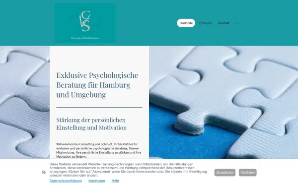 consulting-von-schmidt.de