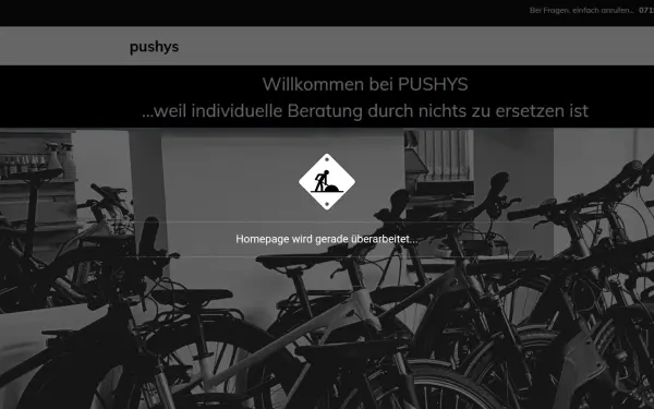 www.pushys.de