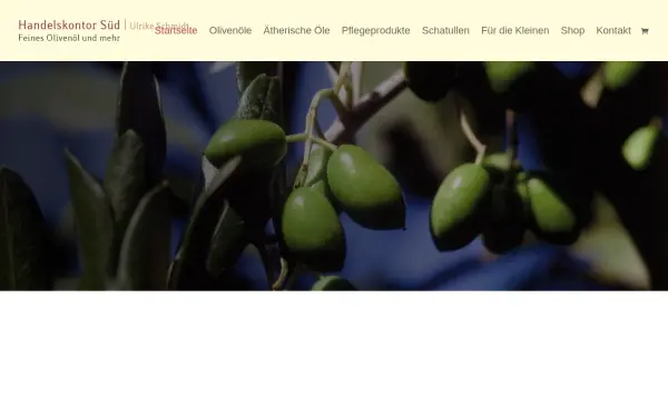 handelskontor-sued.de
