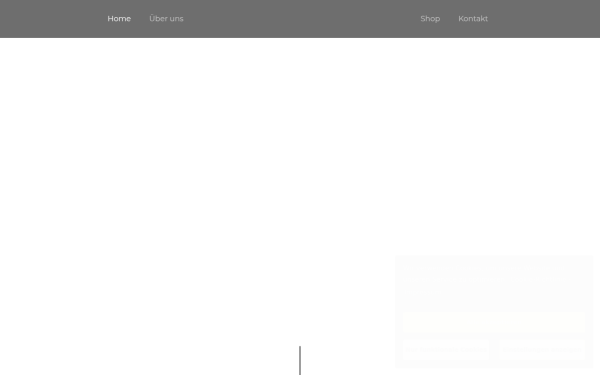 www.gshaustechnik.at