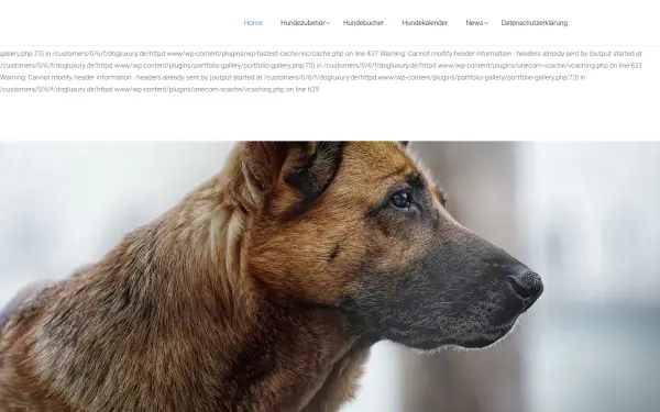 www.dogluxury.de