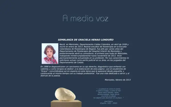 amediavoz.com