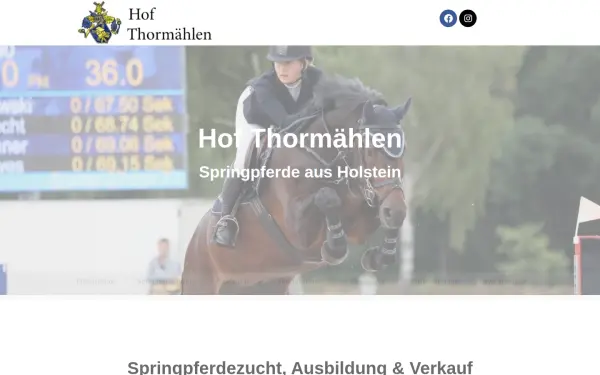 hof-thormaehlen.de